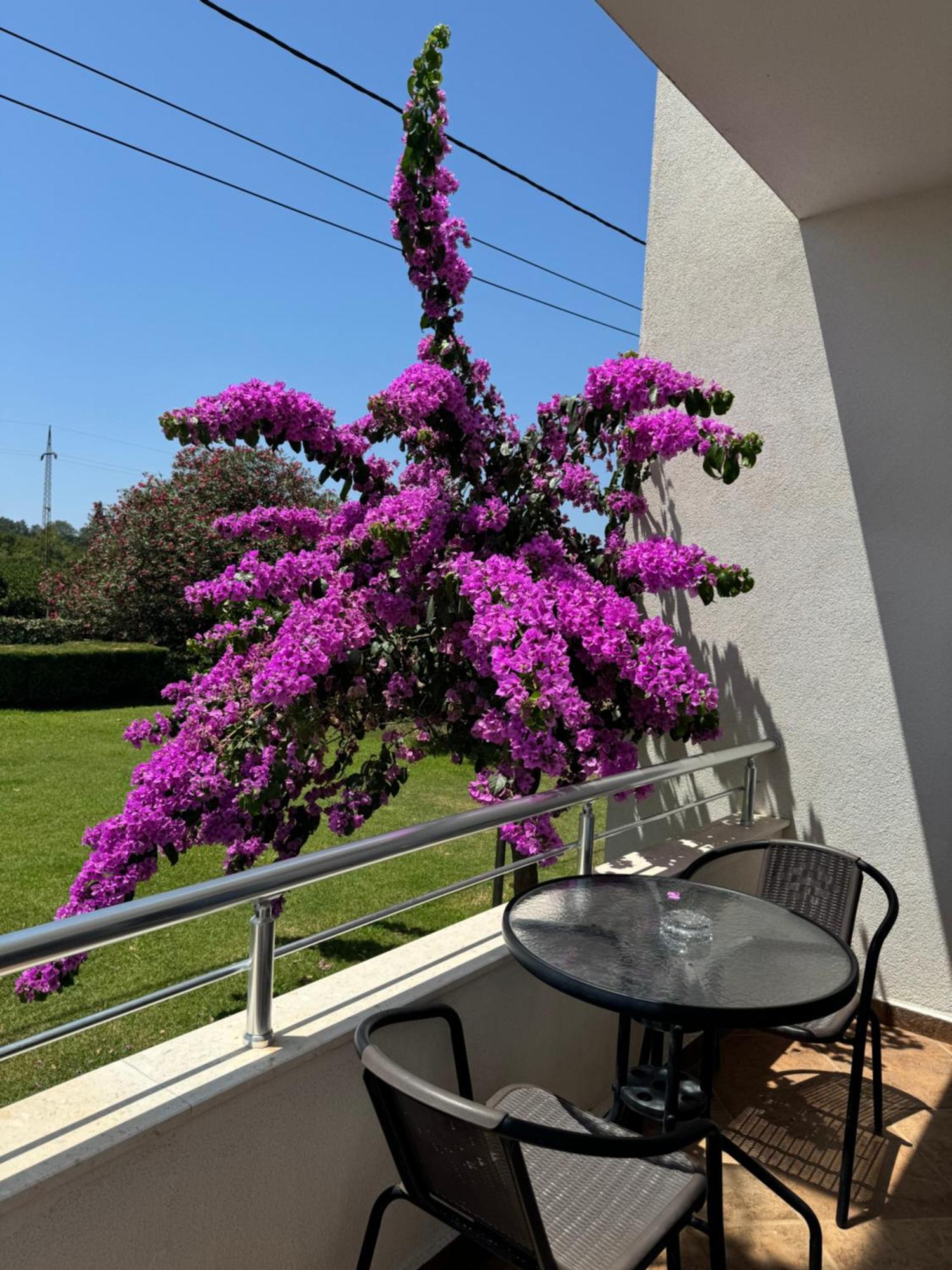 Sunrise House Apartments Ulcinj Exterior foto